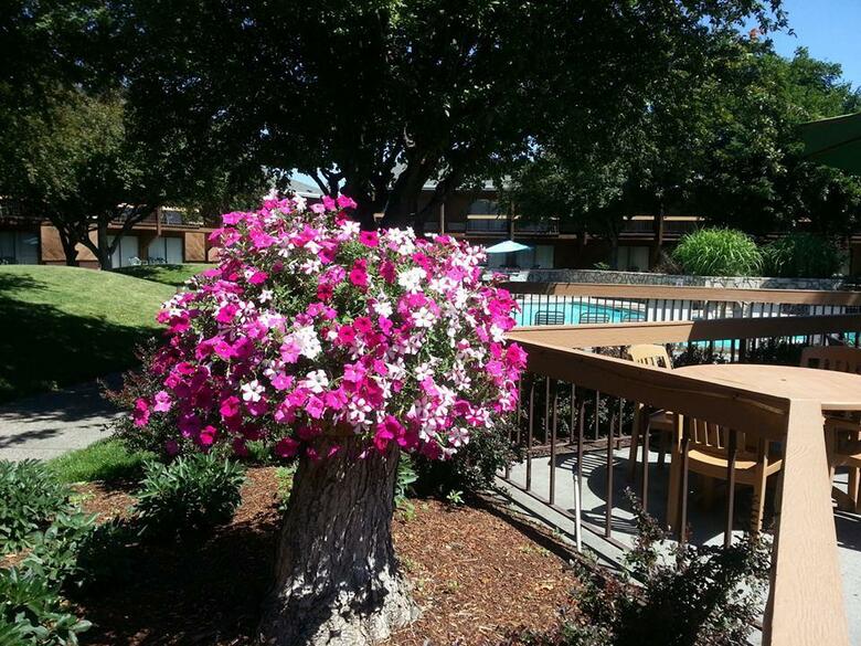Hotel Best Western Sunridge Inn