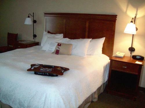Hotel Hampton Inn Sidney