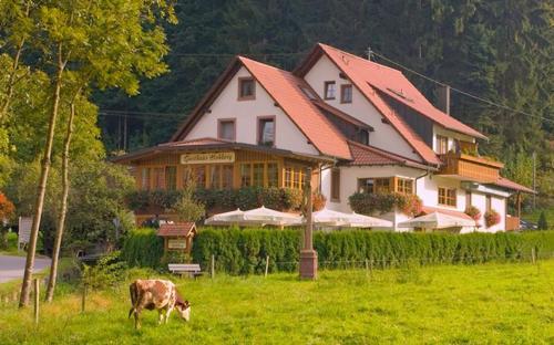 Hostal Gasthaus - Pension Hohberg