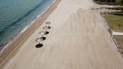 Apartamento Beach Bird Swallow