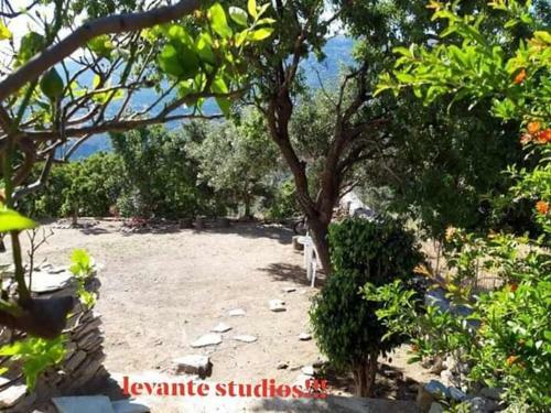 Apartamento Levante Studios ?ndros