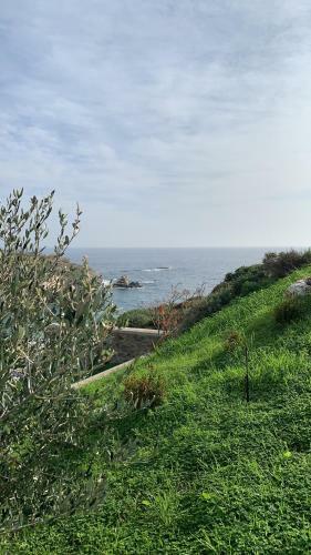 Apartamento Elefthia Syros Junior Suite
