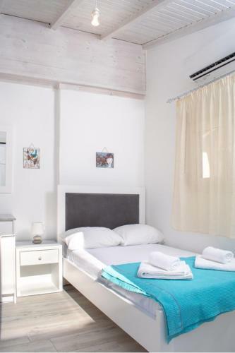 Apartamento Cactus Room