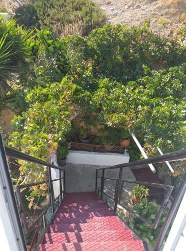 Apartamento Alexandra`s House