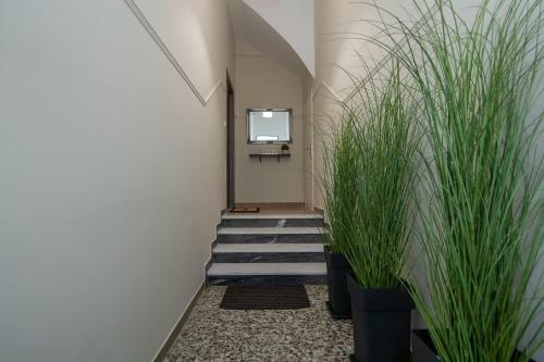 Citizen Apartments