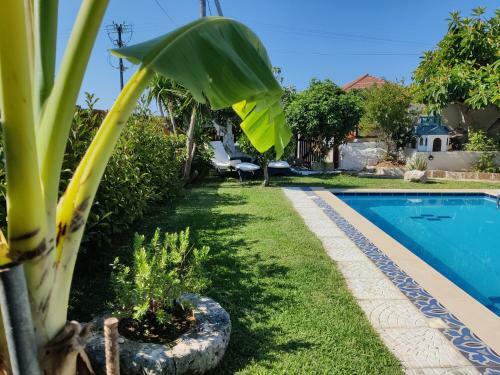 Villa Maria Kefalonia