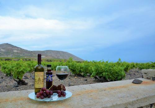 Apartamento Vineyards Hill Villa