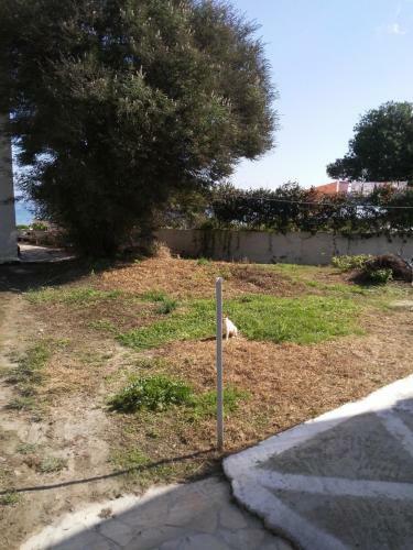 Apartamento Dimitris Botsis Studios
