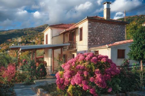 Villa Marina, ????? ??????