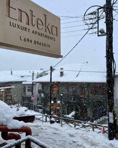 11 Luxury Apartments Metsovo.