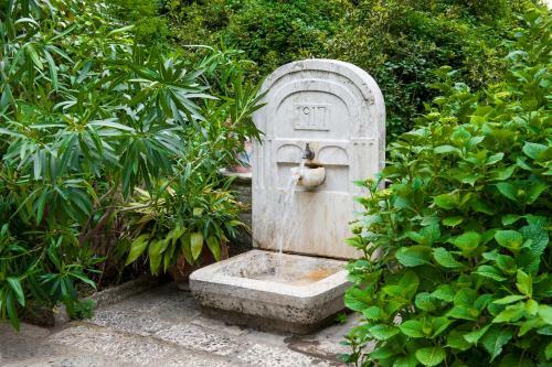 The Fountainhead Pelion