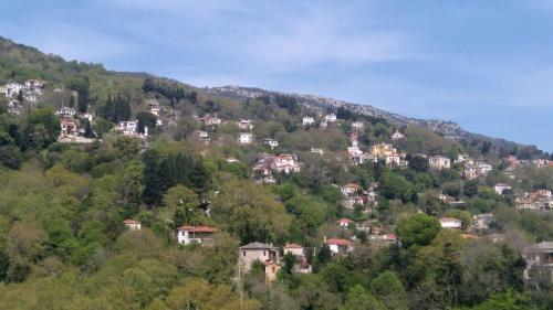 The Fountainhead Pelion