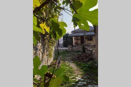 Pelion Cottage