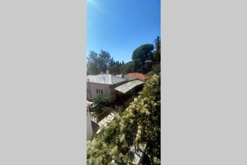 Pelion Cottage