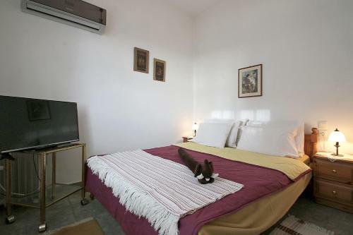 Apartamento Milies Studios