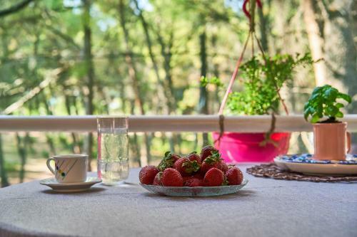 Apartamento Metamorfosi Pine Forest View