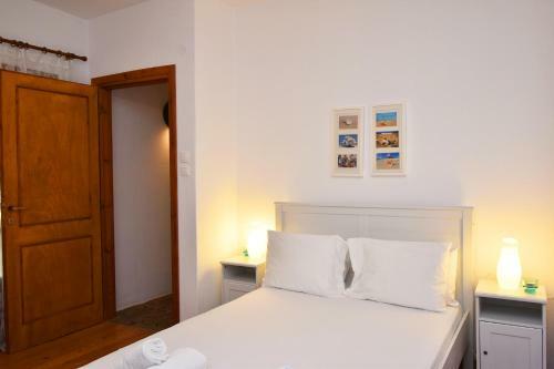 Squirrel Beach Front Villa, Metamorfosi