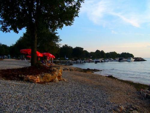 Hostal Residence Kuemmerle For Max 10 Persons