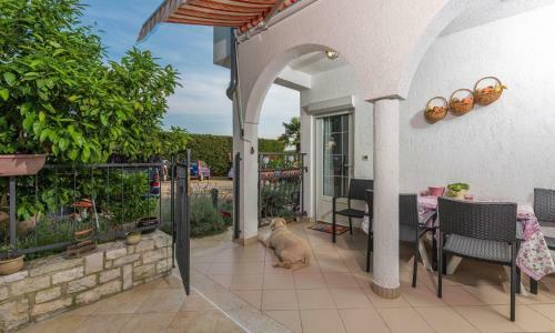 Hostal Residence Kuemmerle For Max 10 Persons