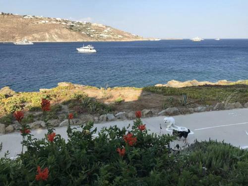 Apollon House On The Sea