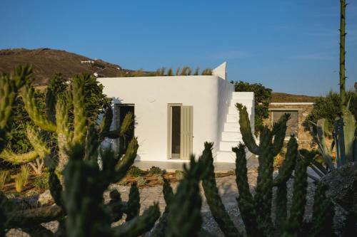 Ilior Retreat Villa