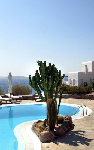 The Rock Villa
