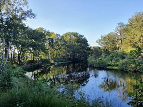 Bed & Breakfast De Merel