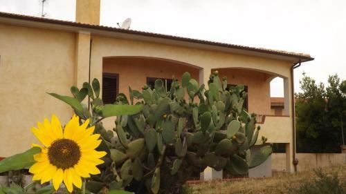 B&B Piras