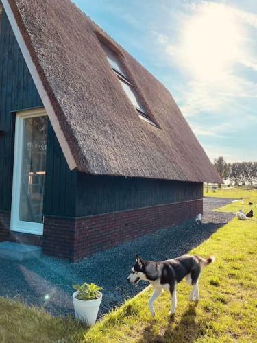Apartamento Cozy Appartment On The Farm
