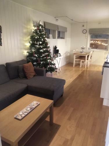 Modern Apartment
