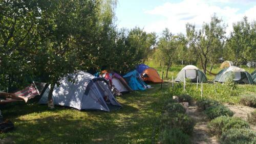 Lavander Garden Camping