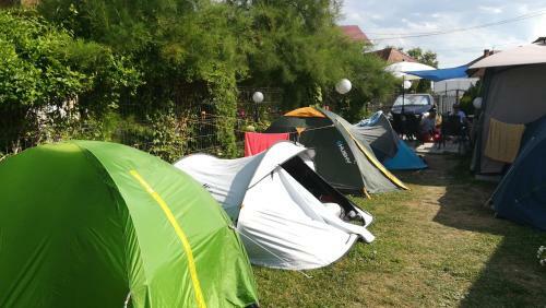 Lavander Garden Camping