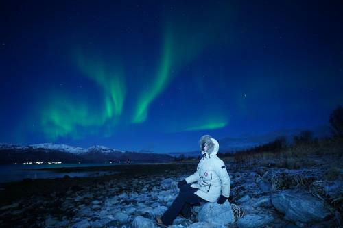 Arctic Rooms Rektor