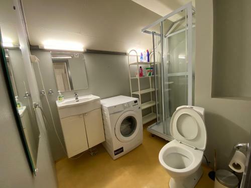 Albergue Auroras Friends Apartment