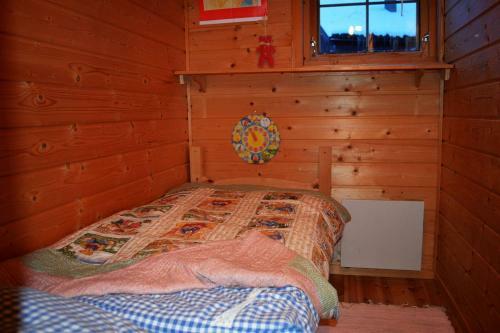 Mountain Cabin