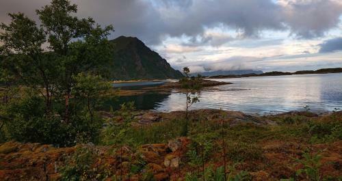 Lodge Bjerget