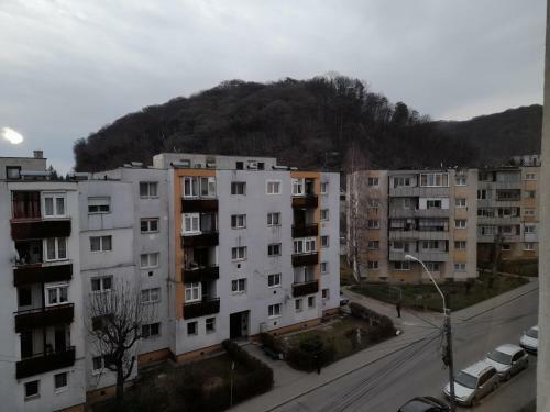 Apartament Sighi?oara