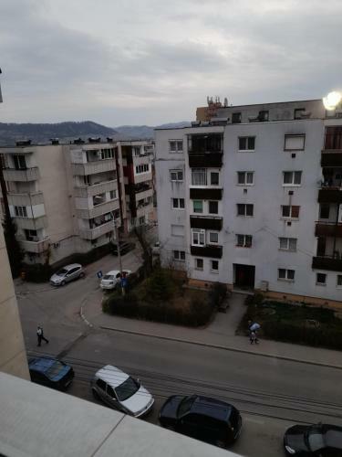Apartament Sighi?oara