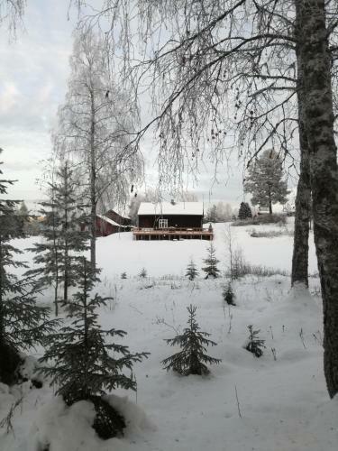 Presterudveien 125