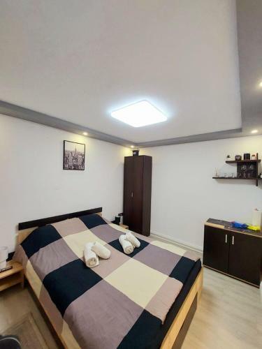 Apartamento Domino Studio