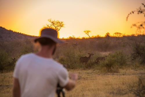 Rockfig Lodge Madikwe