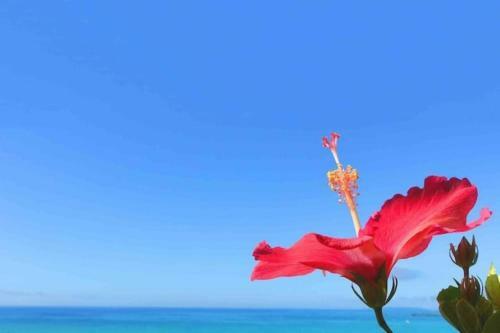 Ao No Umi - Vacation Stay 97833v