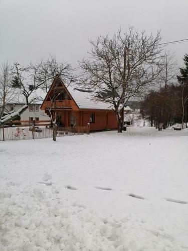 Blockbohlenhaus-steiner-lodge