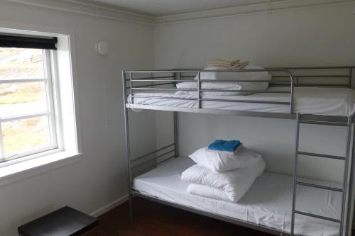 Icecap Apartments