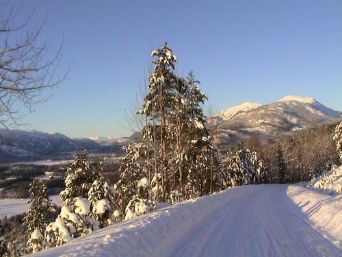 Lodge Vr�dal Hyttegrend