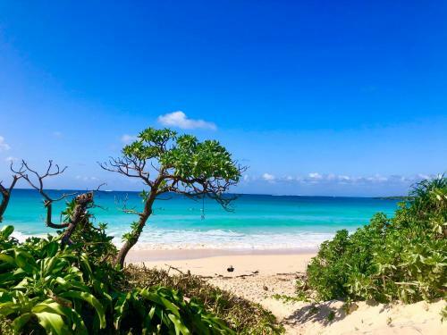 Hostal Happy Island Miyako