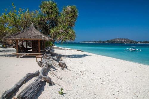 Serenity Luxurious Beachfront Villa & Spa With Private Infinity Pool, 8 Guests