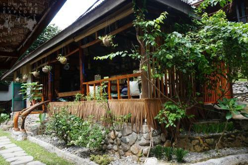 Hostal Sumatra Orangutan Explore