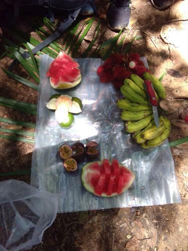 Hostal Bukit Lawang Landak River Guest House