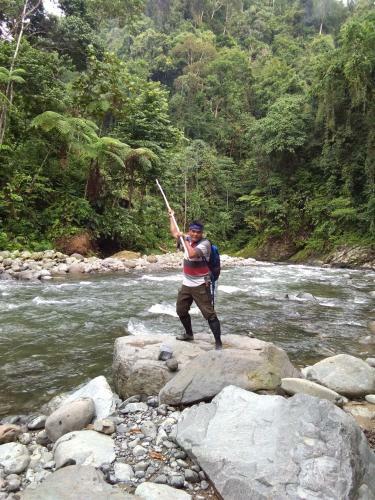 Albergue Jungleriver